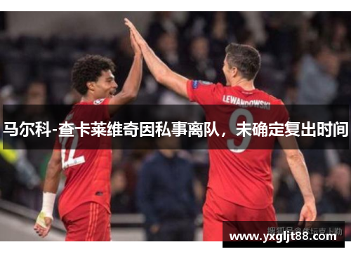 马尔科-查卡莱维奇因私事离队，未确定复出时间