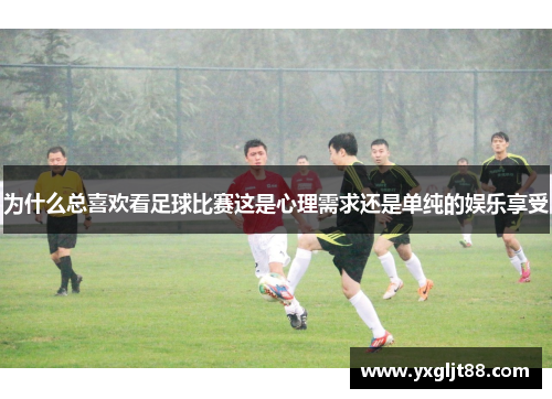 为什么总喜欢看足球比赛这是心理需求还是单纯的娱乐享受